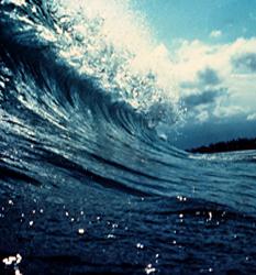 SOSOCEANS's profile picture. Ambientalist,marine sciences,photographer, UW film producer