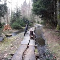 Rhönschnegge (@rhoenschnegge) 's Twitter Profile