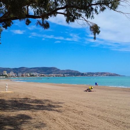 ZuzanaCliment's profile picture. 