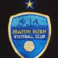 Fm19My's profile picture. follow the journey of Seaton Burn FC from the Northern Football Alliance First Division to the EPL