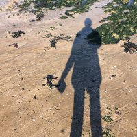 🍺 Zway 🍺 (@zwyeth) 's Twitter Profile