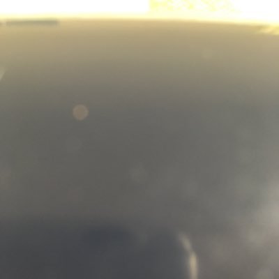 wvollger's profile picture. 