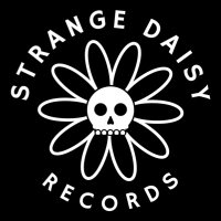 Strange Daisy(@thestrangedaisy) 's Twitter Profile Photo