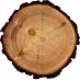 An arborist, or arboriculturalist, is a professional in the practice of arboriculture.