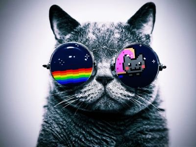 Offical_CHZ's profile picture. Hello! And, today you're at my profile! I wonder if I will be posting bloxburg photos! Definitely! I love coming on twitter to see what everybody's doing!