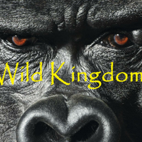 F3WildKingdomOMA (@f3wildkingdom) 's Twitter Profile