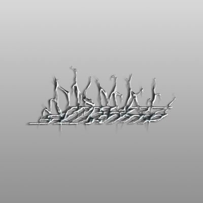 Most Dismal Swamp Profile