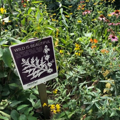 The West Cook County chapter of Wild Ones. Learn about native plants and how they support biodiversity with us. Free monthly programs on relevant topics.