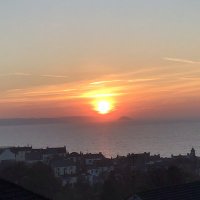 cricklewood23#FBPE💙#FBPA#StopTheRot (@dilysdyer007) 's Twitter Profile