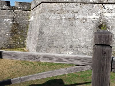 Corgination3's profile picture. 