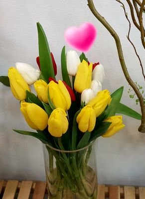 promenade0905's profile picture. #프롬나드힐링 #원예치료센터 #逍遙하다
#프롬나드그림책문화연구소
#자격증발급과정
#그림책 #원예치료 #테라리움
#평생교육사 #사회복지사    
promenade_healingㅡ인스타