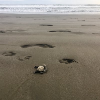 mparker87030392's profile picture. 