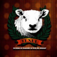 TexelUruguay (@texelu) 's Twitter Profile