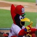 casey pettit elder - @casey_elder - Twitter