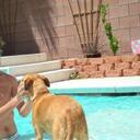 Matthew Beeson - @islandboy6936 - Twitter