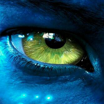 petogut's profile picture. 