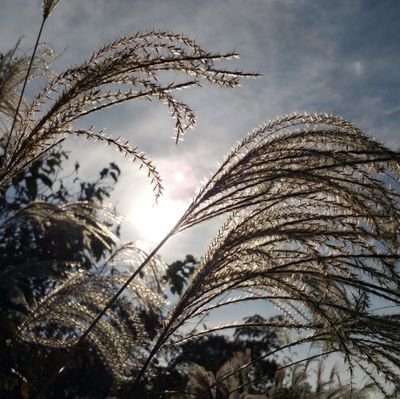 sokuho20161010y's profile picture. 高校野球、大学野球、社会人野球観戦用垢。基本発信のみです。返信はしません。ご了承くださいませ🦸 リム、リフォロー、ミュート、ブロックご自由に。㊗️4000フォロワ感謝感謝🤗 通知オフにしてます。気づきません。