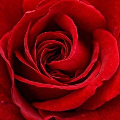 To be best in the wold is not is passible to be the worst in the world aslo no passible, in between is always possible. That what I'm - nothing is impossible