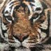 Texas High School FB Recruiting Page (@texashighfb) Twitter profile photo Texas High School FB Recruiting Page (@texashighfb) Twitter profile photo