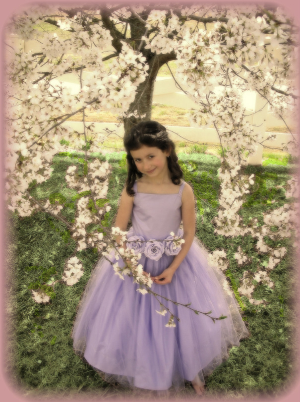 Handmade Costumes and Curiosities, Princess Dresses, Fairy Costumes & Wings, Accessories for big and little girls!