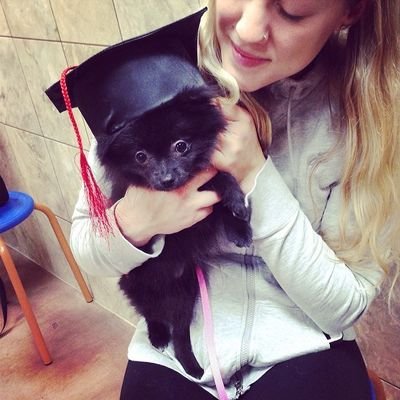 we are are giving out puppies to good pet loving homes. get you lovely pet dog now