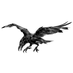 NÖBETÇİ (@scoutrawen) Twitter profile photo NÖBETÇİ (@scoutrawen) Twitter profile photo