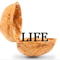 That's Life in a Nutshell(@life_innutshell) 's Twitter Profile Photo