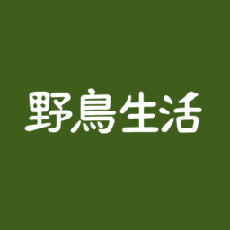 鳥が好きで鳥の絵ばかり描いています。「野鳥生活」という屋号で百貨店催事などに出店しています。ネコも好きです。このアカウントは野鳥生活のおばさんのほうです（野鳥生活のおじさんのほうは@tagawa_wildbird）。