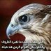 الوائلي برق الشمال (@xbytkvr1hdvumby) Twitter profile photo الوائلي برق الشمال (@xbytkvr1hdvumby) Twitter profile photo