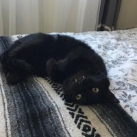 b (@appraise) 's Twitter Profile