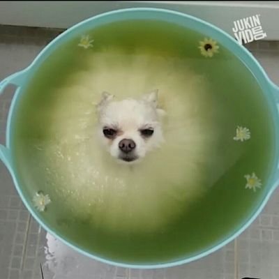 RilOrianoOnione's profile picture. 