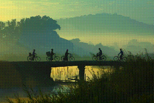 willing11's profile picture. 