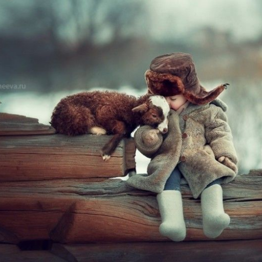 Nfilipov2's profile picture. 