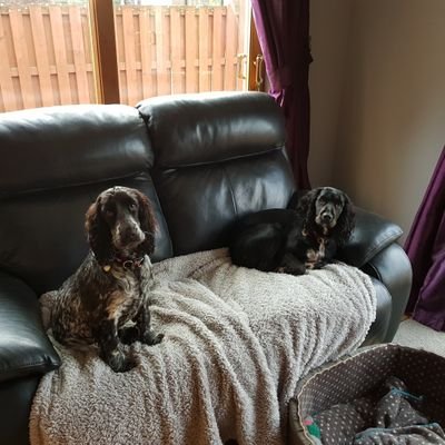 gkmoth's profile picture. 