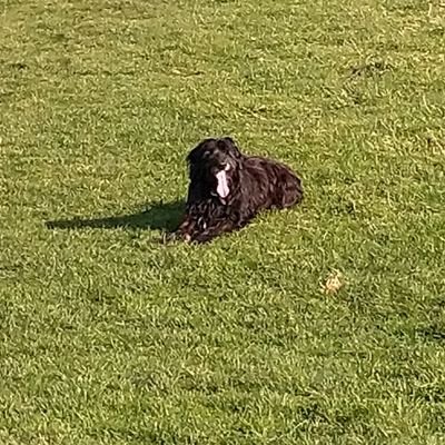 veryvonnie82's profile picture. 