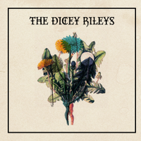 The Dicey Rileys (@thediceyrileys) 's Twitter Profile