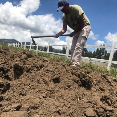 patrikalex's profile picture. IT Enginner, Gnu/Linux, VoIP, networking, security