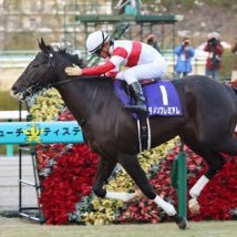 競馬大好き40歳です。