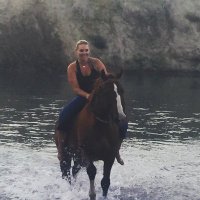Linda Kraft (@lindakraft6) 's Twitter Profile