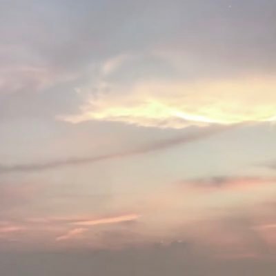 _____apogee's profile picture. 