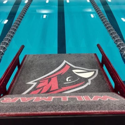 cardswimming Profile Picture