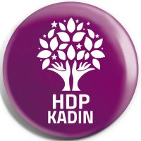 HDP WAN KADIN (@wankadin) Twitter profile photo