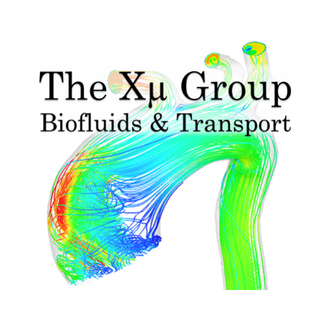 We study the hemodynamics and transport processes in biological and physiological systems using advanced numerical and computational methods. PI: Prof. Yun Xu