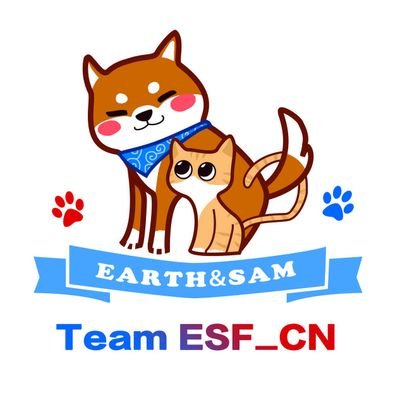 TeamESF_CNさんのプロフィール画像