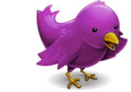 shoutout_queen's profile picture. follow me and i will help u get more followers . #TeamFollowBack