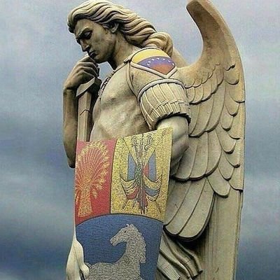 proteccionista de animales
tsu en administración turística
Estudiante de UBV