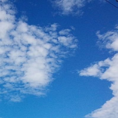 saji_tmt's profile picture. IBD クローン病 手術１回 ストマ造設 
 ゲーム好き 漫画好き
たまに会話がおかしくなります
誰かが名前を言い間違える度に名前が１ヶ月変わります