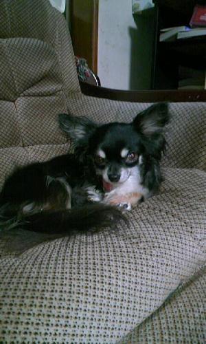 s_ryoko's profile picture. 