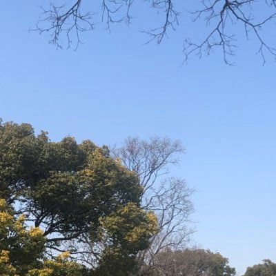 DM94277993's profile picture. 見たくて作っちゃった垢、見たい