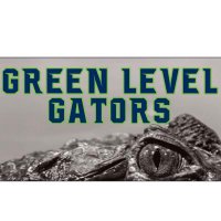 Green Level Volleyball (@g_l_volleyball) 's Twitter Profile